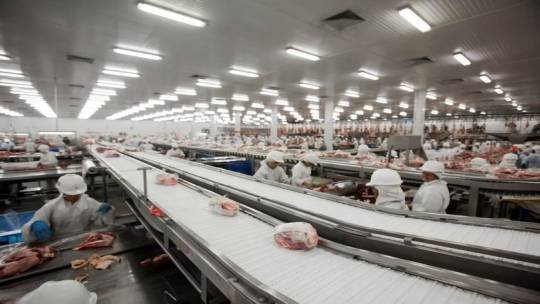 Mato Grosso passa a exportar para mais cinco Países