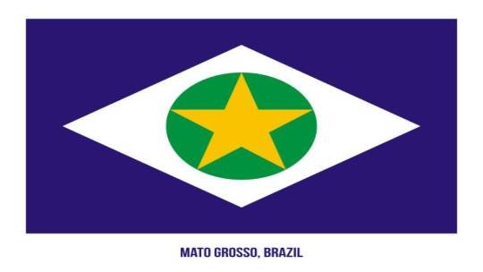 Mato Grosso possui a segunda maior taxa de domicílios alugados do país