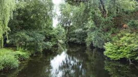 Rios do Alto Paraguai estão impróprios para banho